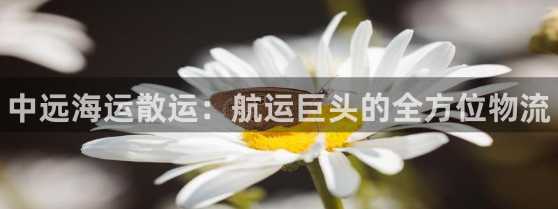 欢迎来到公海电脑版