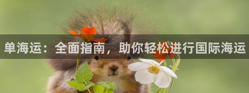 公海赌船官网下载