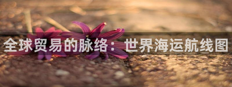 公海赌赌船最新版本更新内容