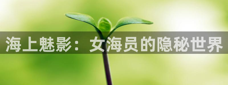 欢迎你来到公海欢迎你来到赌船