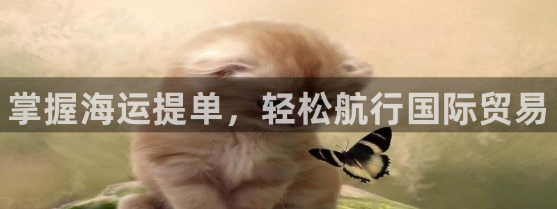 公海欢迎来到