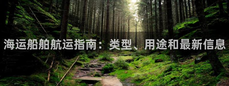 公海赌赌船快速充值