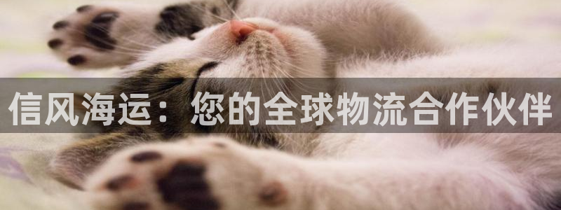 欢迎您来到公海欢迎来到赌船