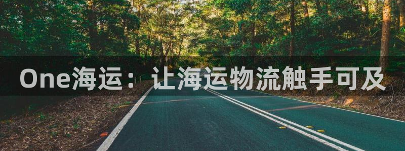 欢迎来到公海堵船