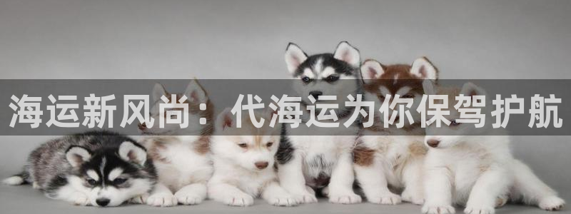 欢迎你来到公海赌