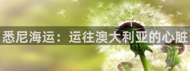公海赌赌船官网真的吗
