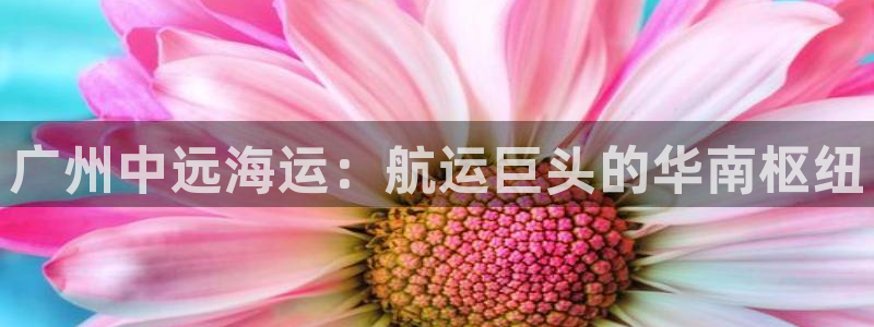 欢迎来到公海7109线路