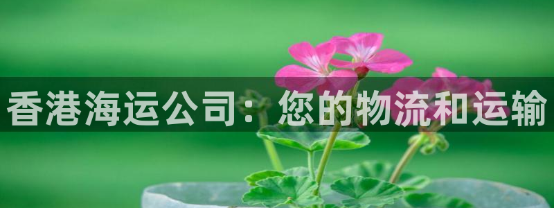 欢迎来到公海.欢迎来到赌船