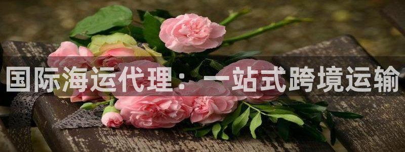 欢迎你来到公主的海岛