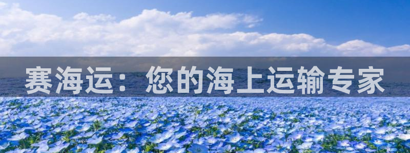 欢迎来到公海555000