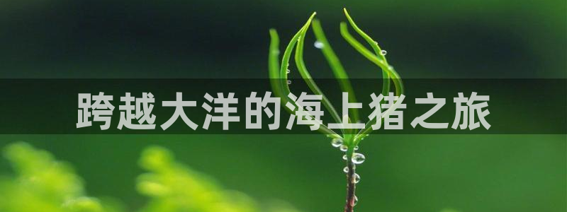 欢迎来到公海手机版710