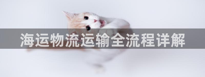 欢迎来到公海堵船