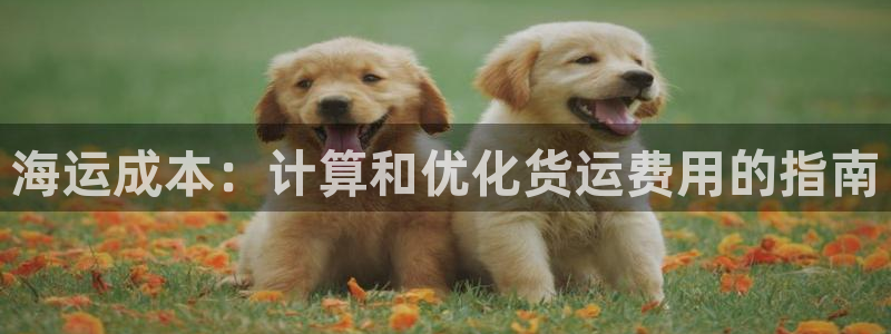 公海赌博为什么不犯法