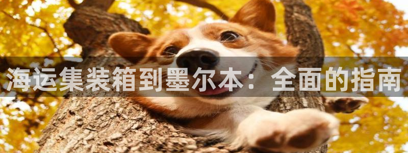 公海赌赌船官网