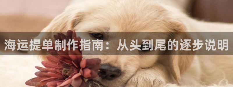 欢迎你来到公海赌