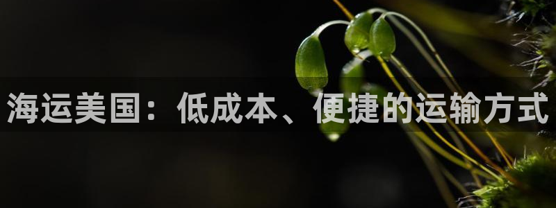 欢迎来公海欢迎来赌船欢迎