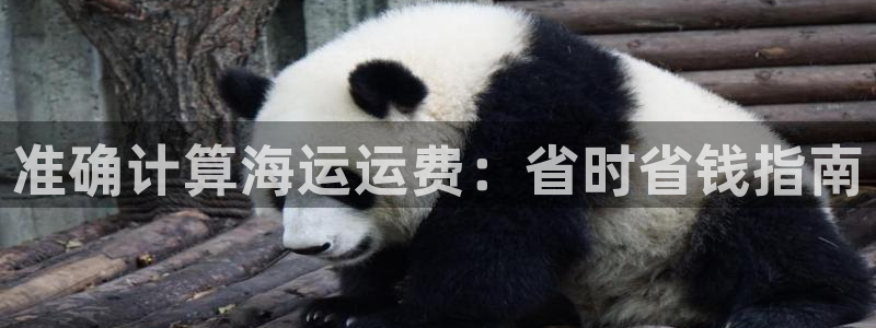 公海赌船网址710