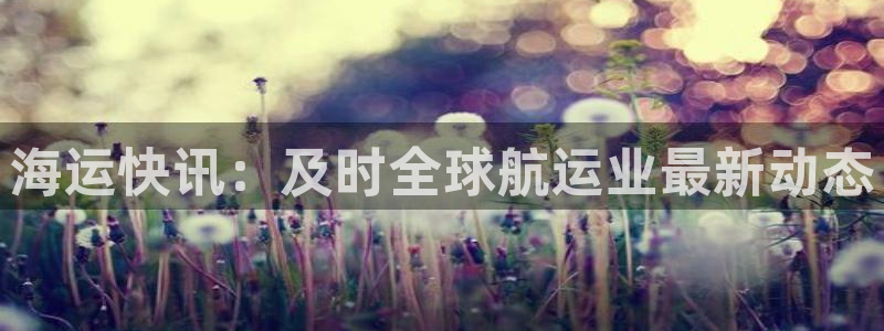 公海赌钱犯法吗